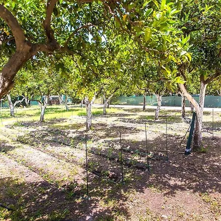 Βίλα Orange Near Platanias *