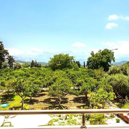 Orange Near Platanias Χανιά